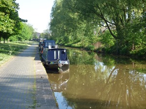 Trent & Mersey Canal